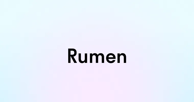 Rumen