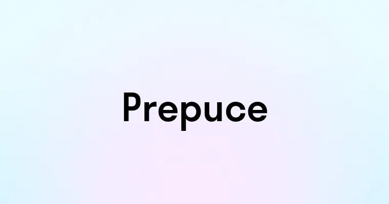 Prepuce