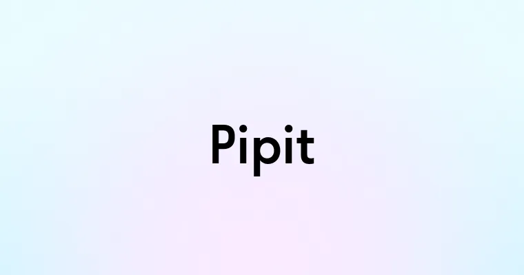 Pipit