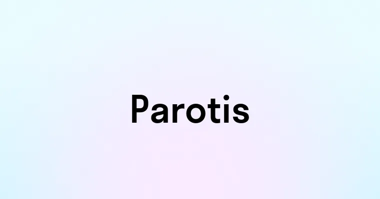 Parotis