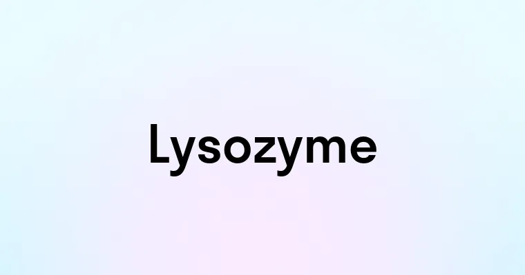 Lysozyme