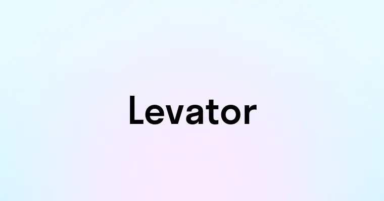 Levator