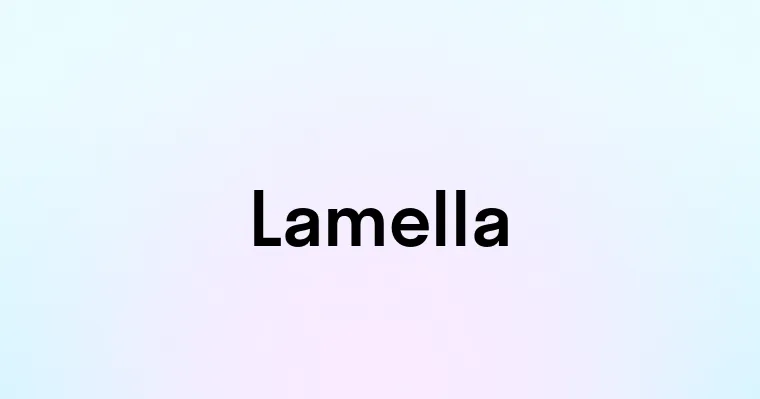 Lamella