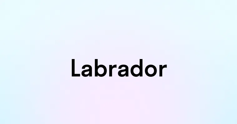 Labrador