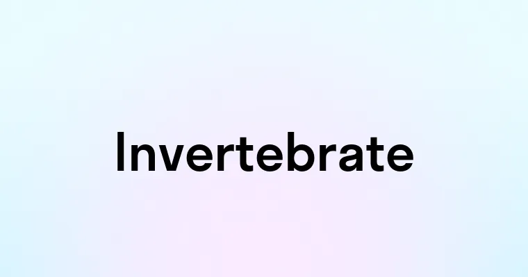 Invertebrate