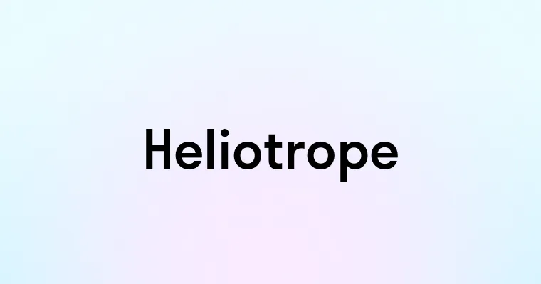 Heliotrope