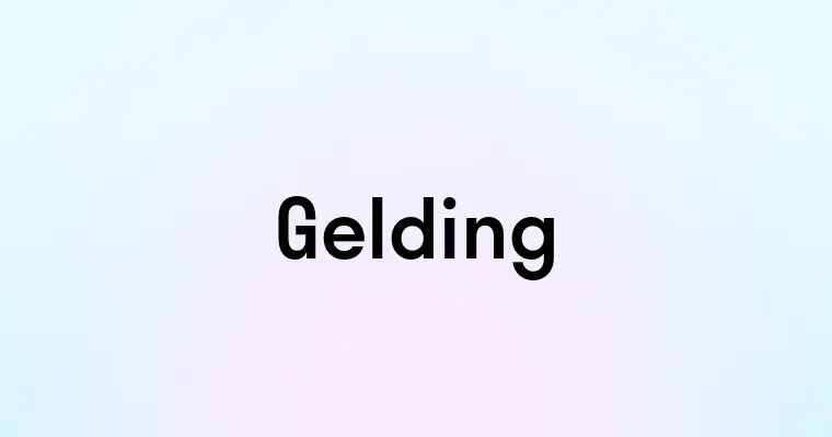 Gelding