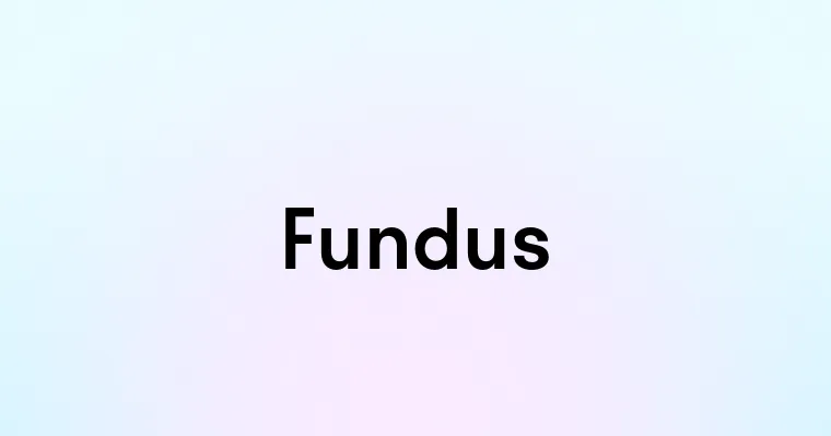 Fundus