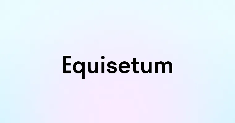 Equisetum