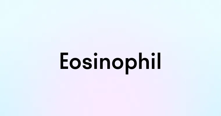 Eosinophil