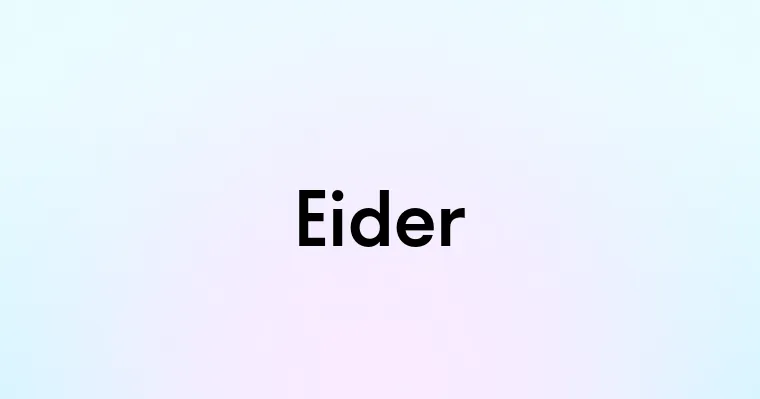 Eider