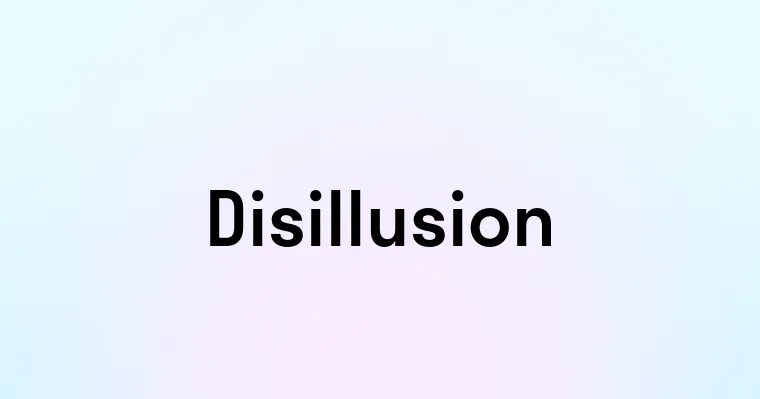 Disillusion