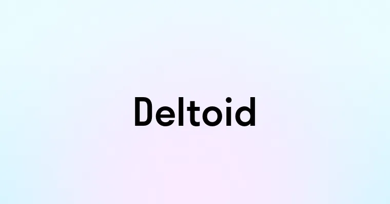 Deltoid