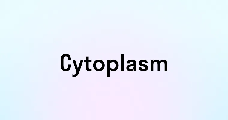 Cytoplasm