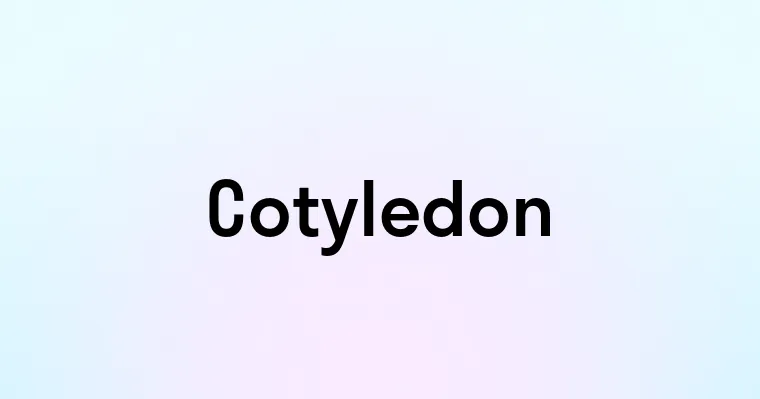 Cotyledon