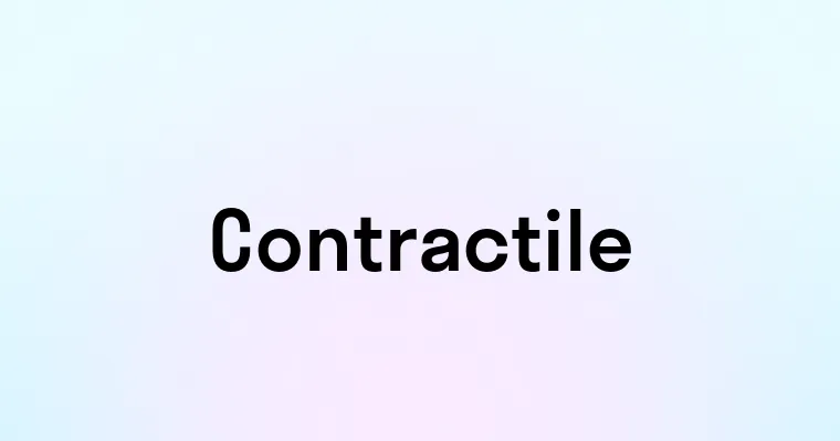 Contractile