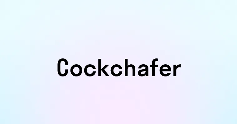 Cockchafer