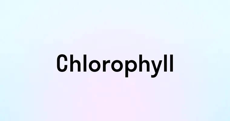 Chlorophyll