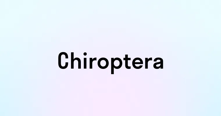 Chiroptera