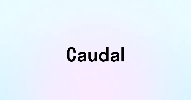 Caudal