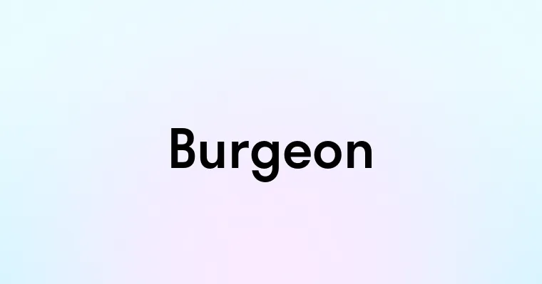 Burgeon