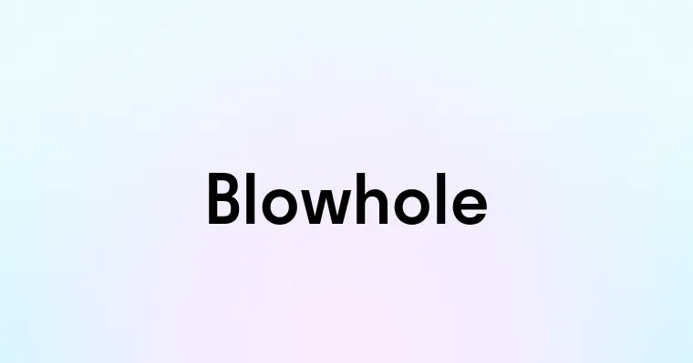 Blowhole