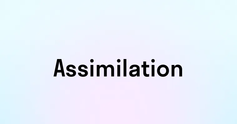 Assimilation