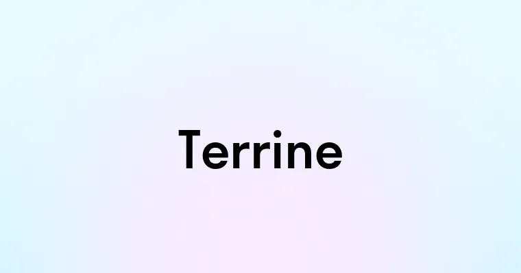 Terrine