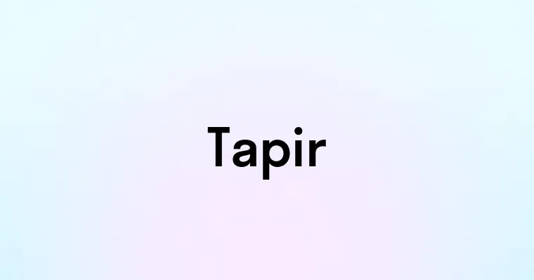 Tapir