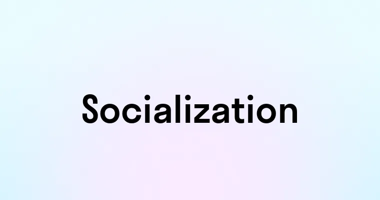 Socialization