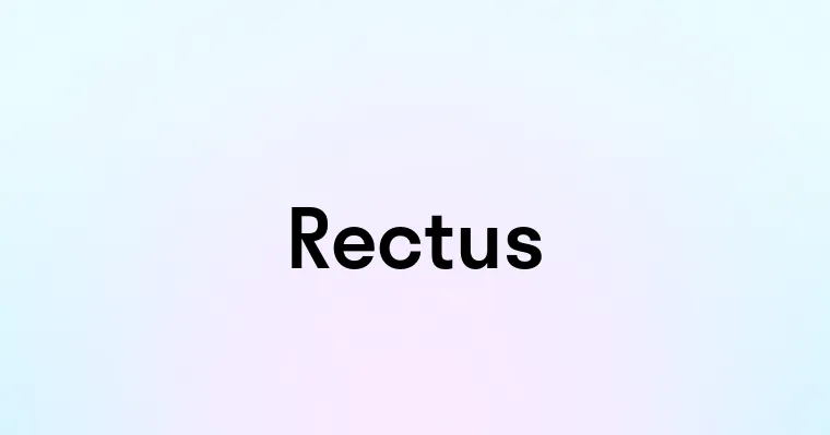 Rectus