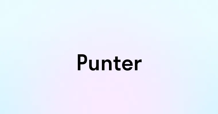 Punter