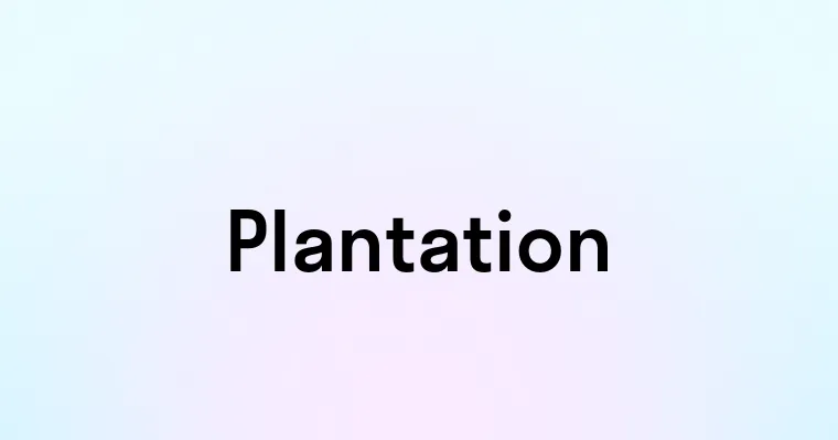 Plantation