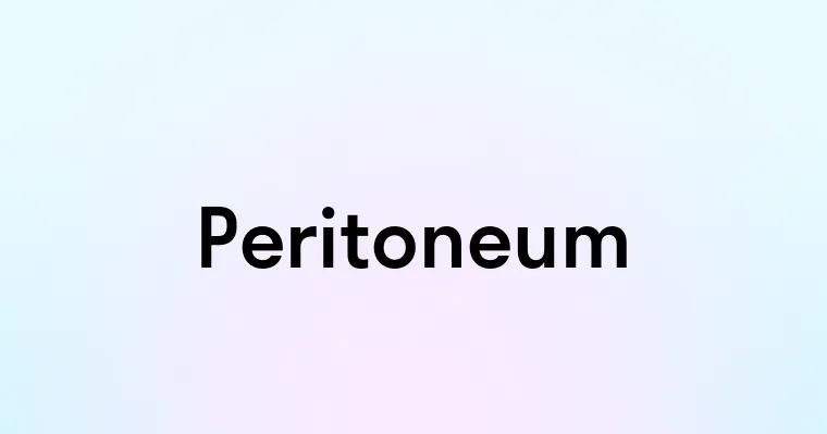 Peritoneum