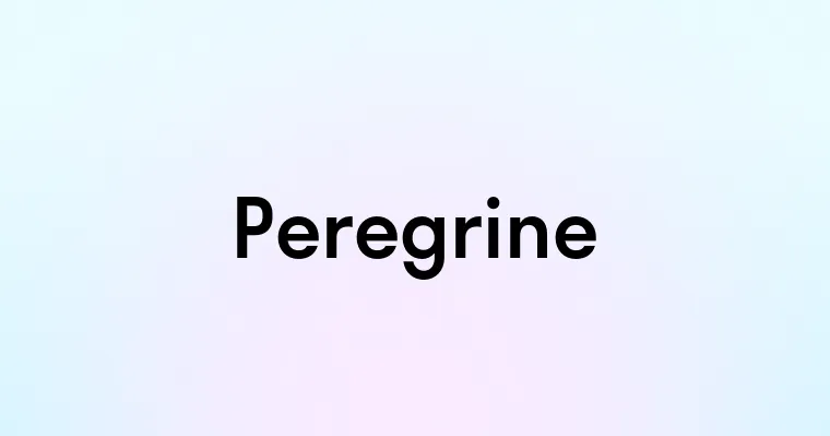 Peregrine