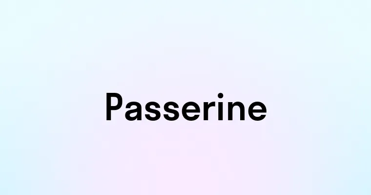 Passerine