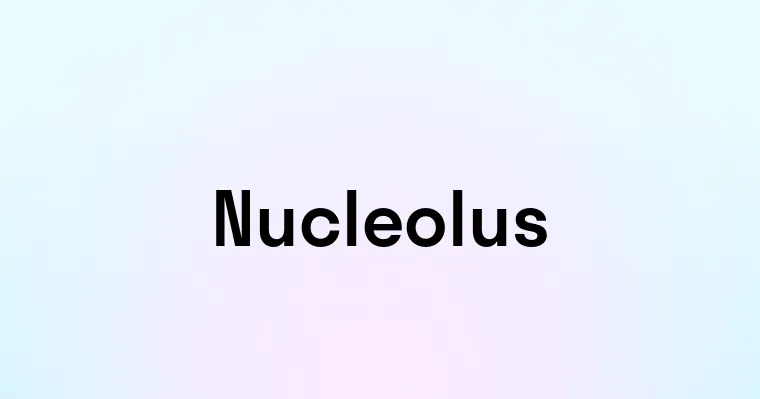 Nucleolus