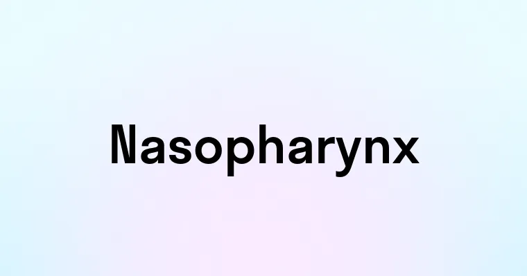 Nasopharynx