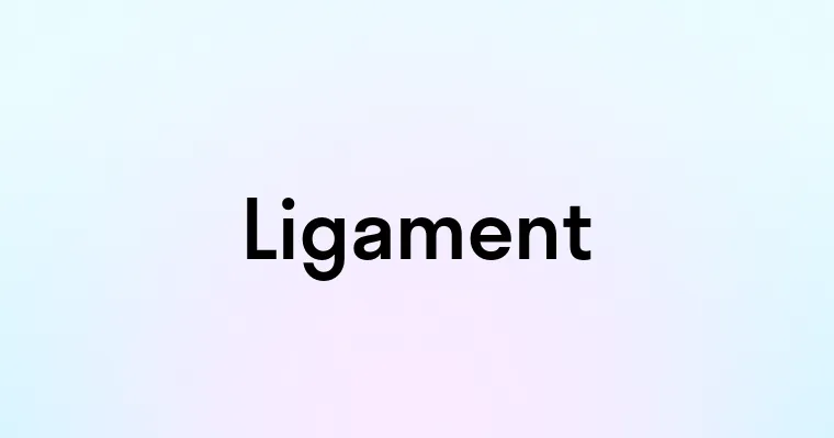 Ligament