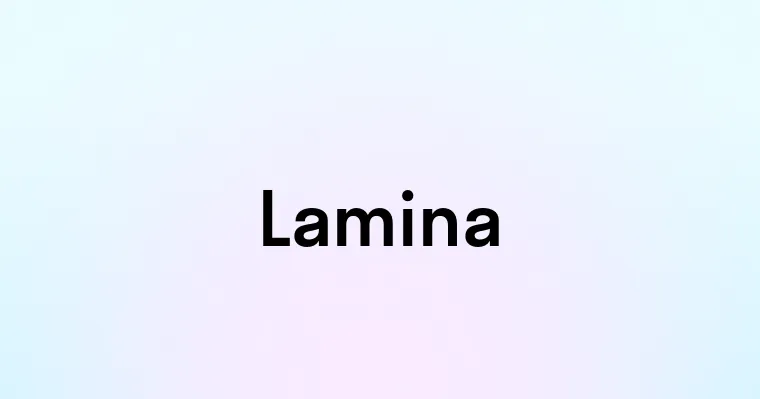 Lamina