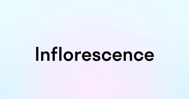 Inflorescence