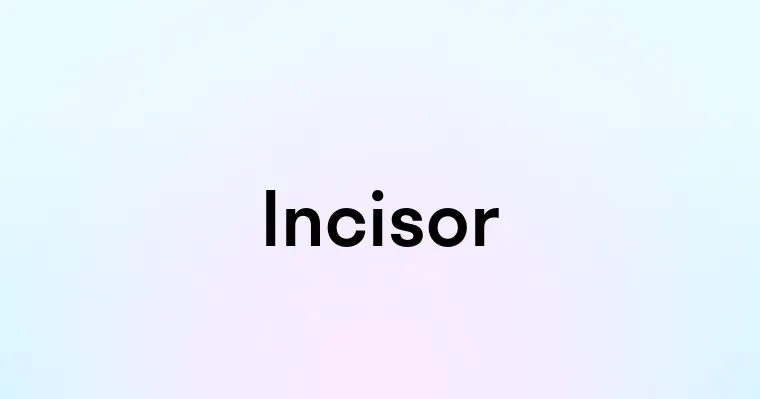 Incisor