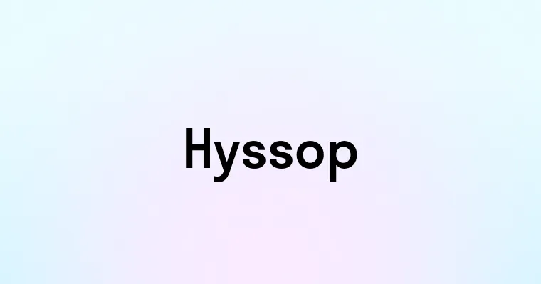 Hyssop