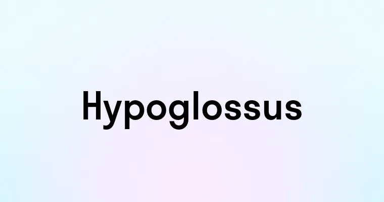 Hypoglossus