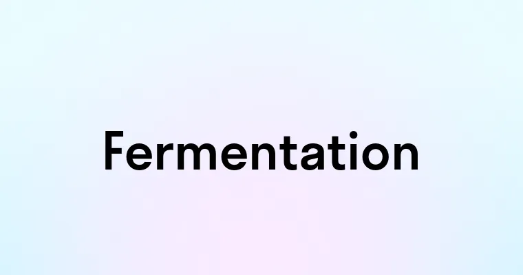 Fermentation