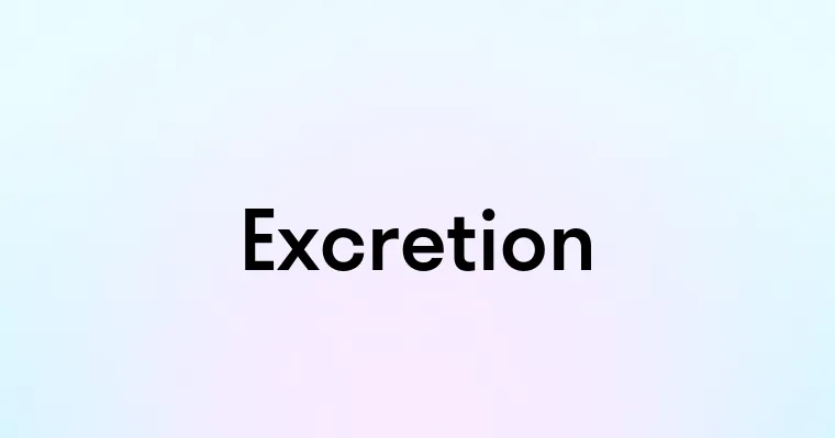 Excretion