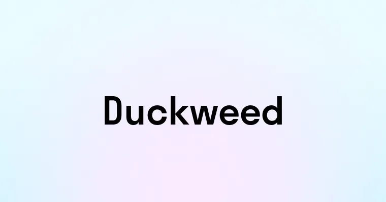 Duckweed