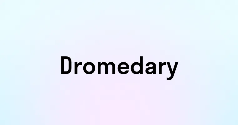 Dromedary