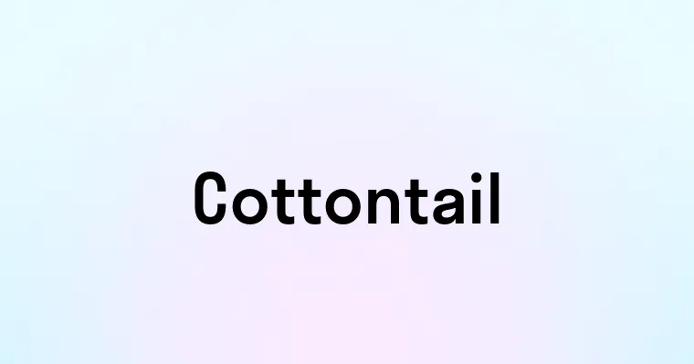 Cottontail