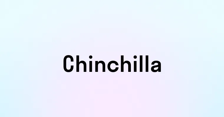 Chinchilla